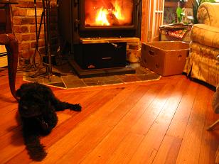 Bijou by the fire